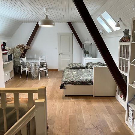 Villa Etage Entier Prive, 45M2 Chez Regine Schiltigheim Esterno foto